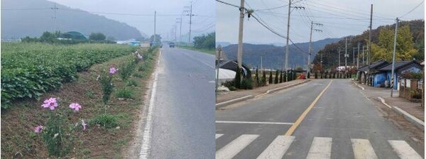 운수 고향지역 숲 조성 관련 사진